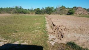 MGAC 50yd target base trench